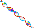 dna-1020669_1280_opt