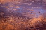 raindrops-1081724_1280_opt.jpg