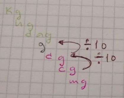 WhatsApp Image 11_opt