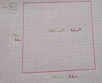 WhatsApp Image 5_opt